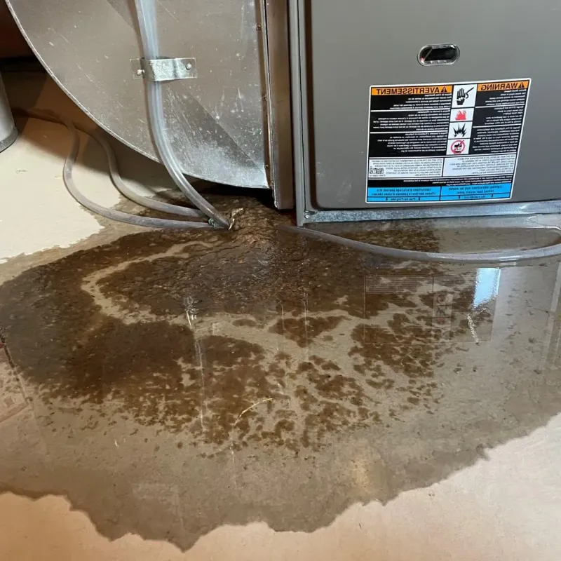 Pipe Burst and Leak Restoration in Northfield, VT